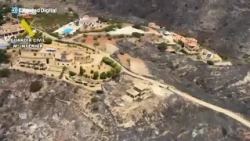 LOS GALLARDOS | Así ha quedado la zona tras el desastre del incendio