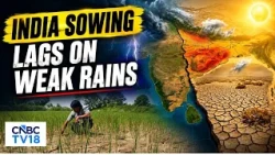 All-India Sowing Down 19% Amid Weak Monsoon; India Kharif Sowing Falls 16% YoY | CNBC TV18