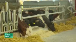 Romania takes a firm stand at AgriFish! 07/13/2026