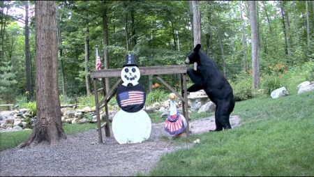 Snowman Cam - Gaylord Michigan